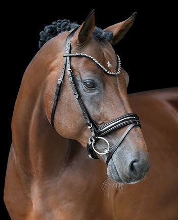 Zweeds hoofdstellen & stang en trens