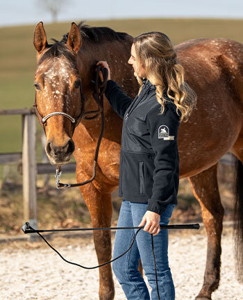 Horsemanship & vrijheidsdressuur