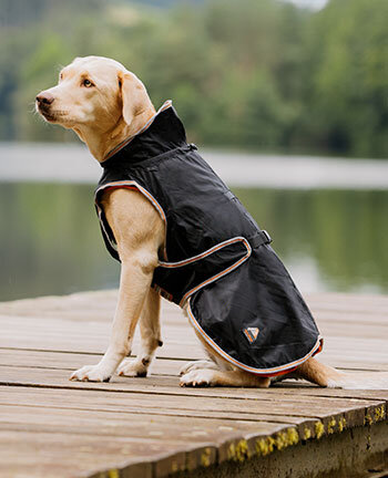 Therapieartikelen voor honden