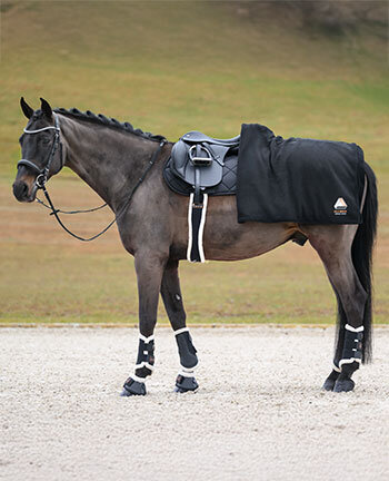 Therapieartikelen voor paarden