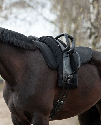Voltige singels & accessoires