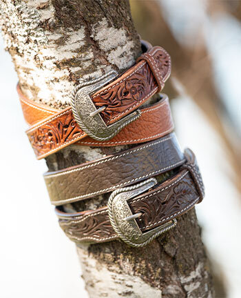 Riemen & buckles