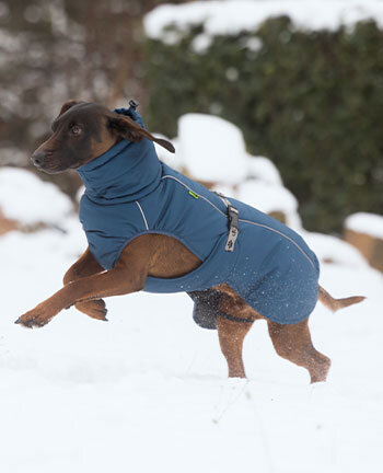 Honden winterjassen