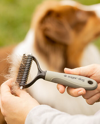 Vachtverzorging voor de hond