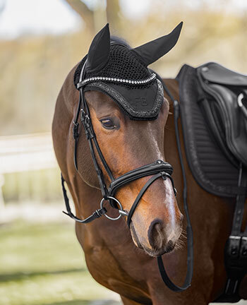 Paard