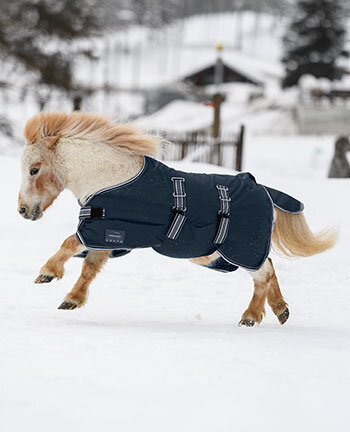 Pony- en veulendekens
