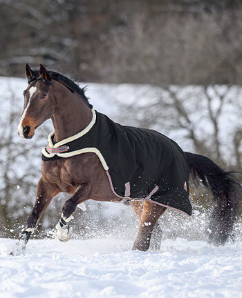 Therapieartikelen voor paarden