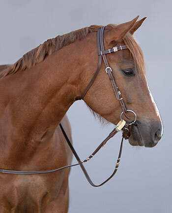 Western kopstuk & accessoires