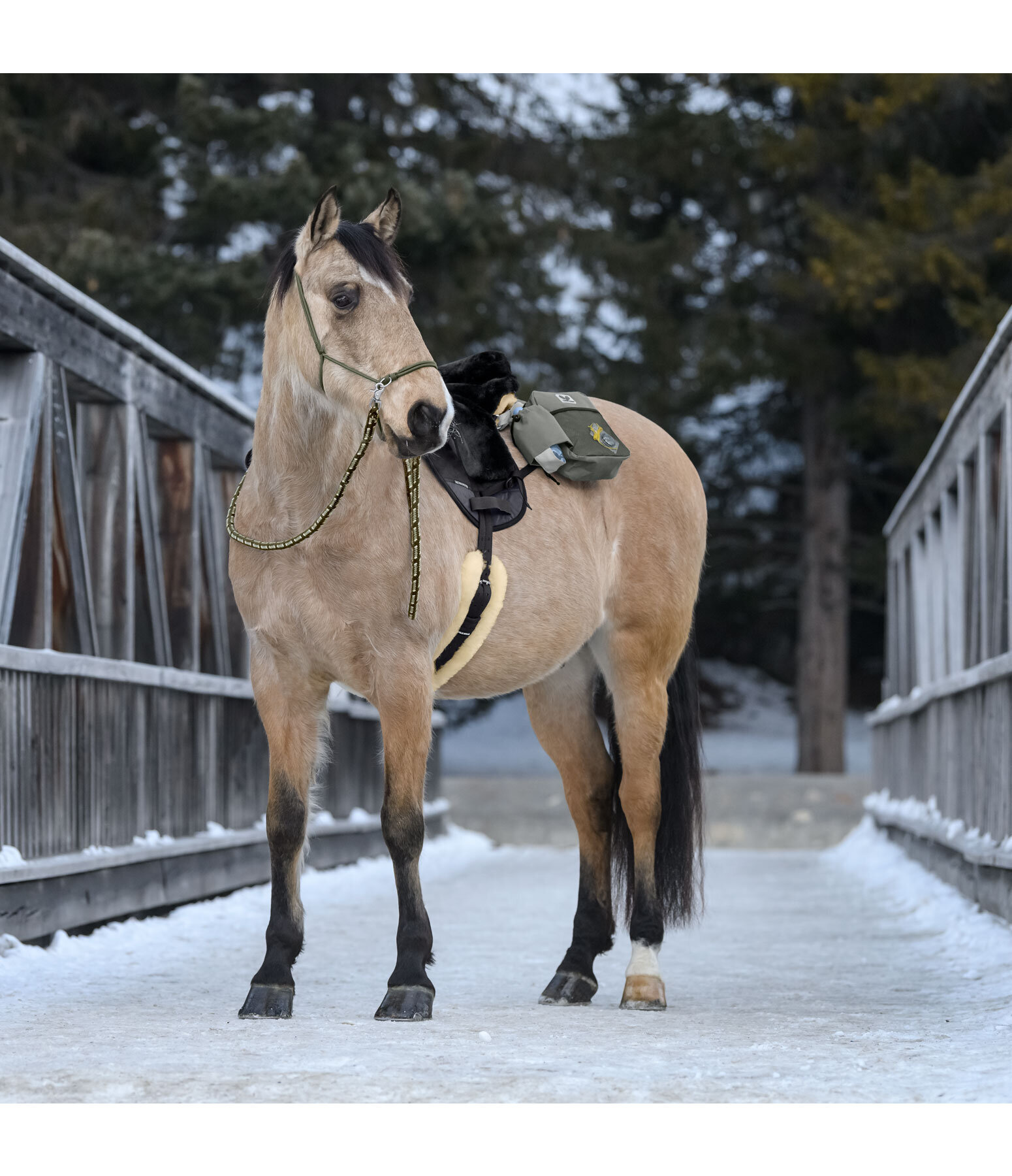 katoenen teugel Trail Riding