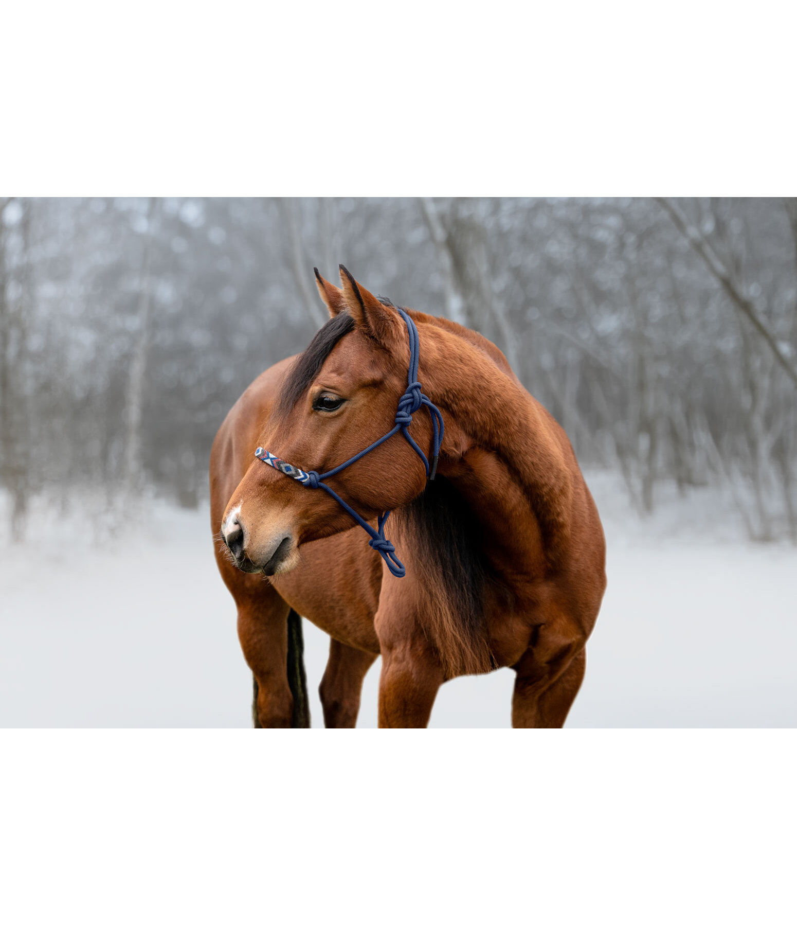 knopenhalster Beaded