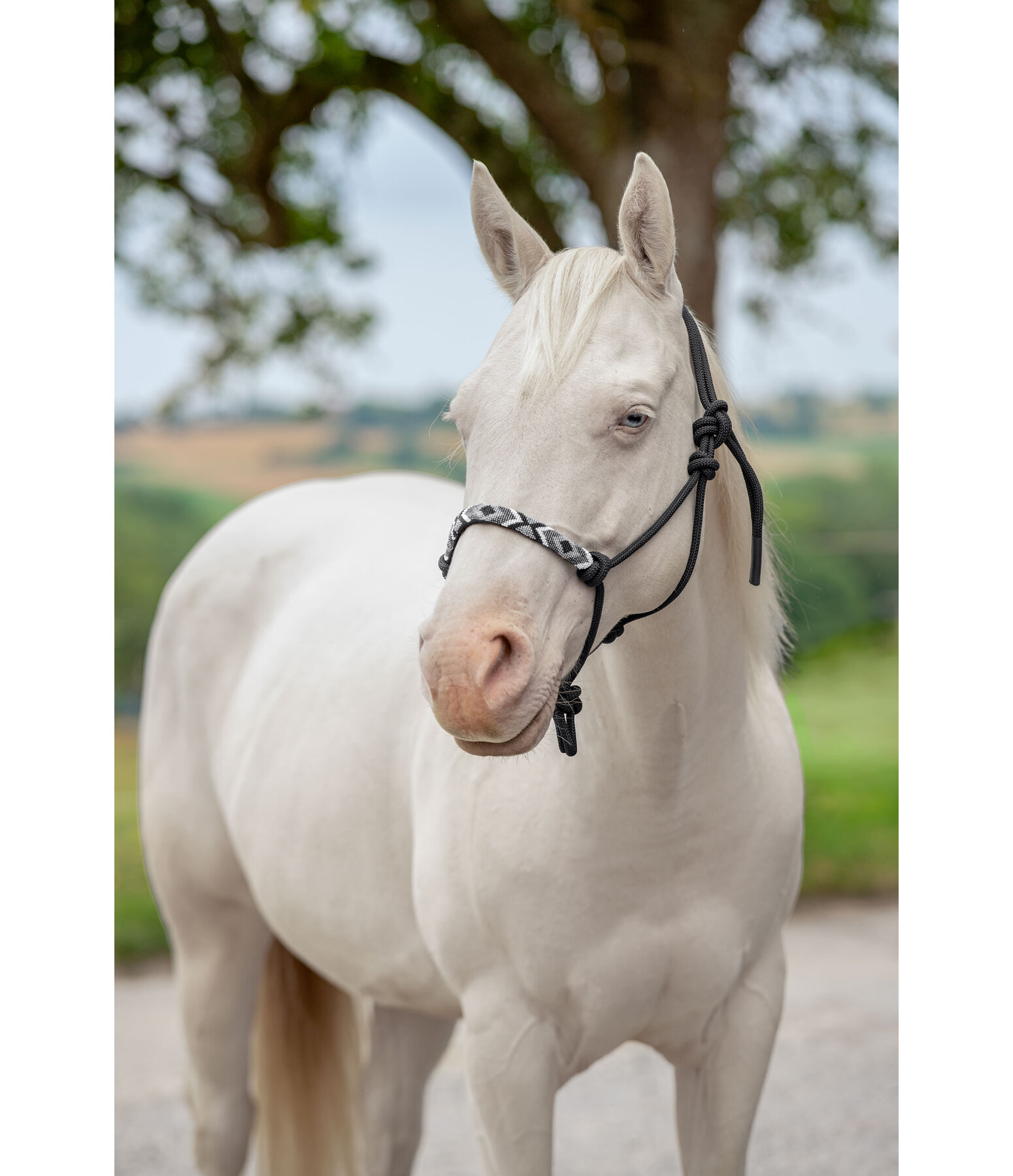 knopenhalster Beaded