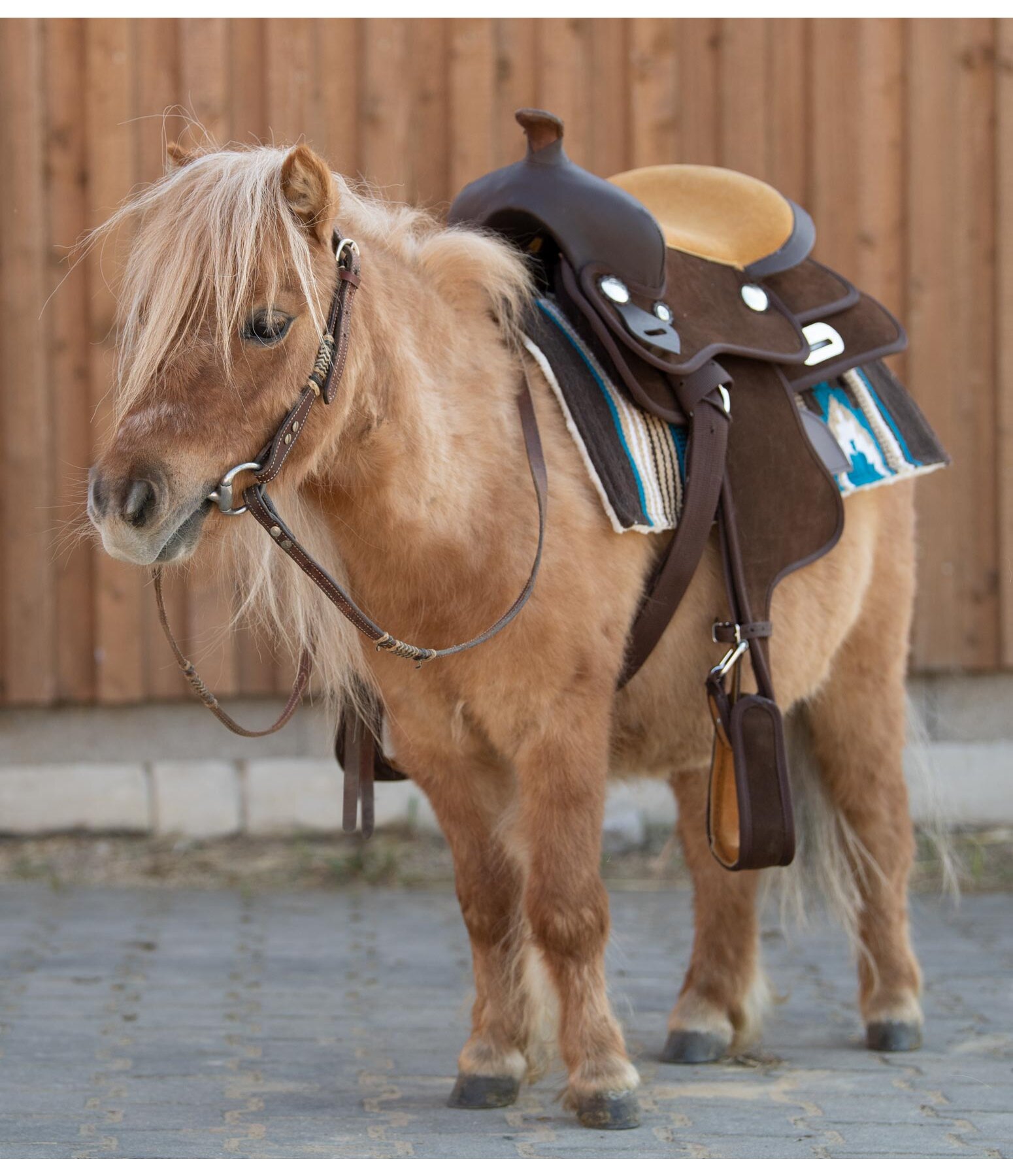 Gevlekt Extra auteur pony westernzadel - STONEDEEK zadels & accessoires - Kramer Paardensport