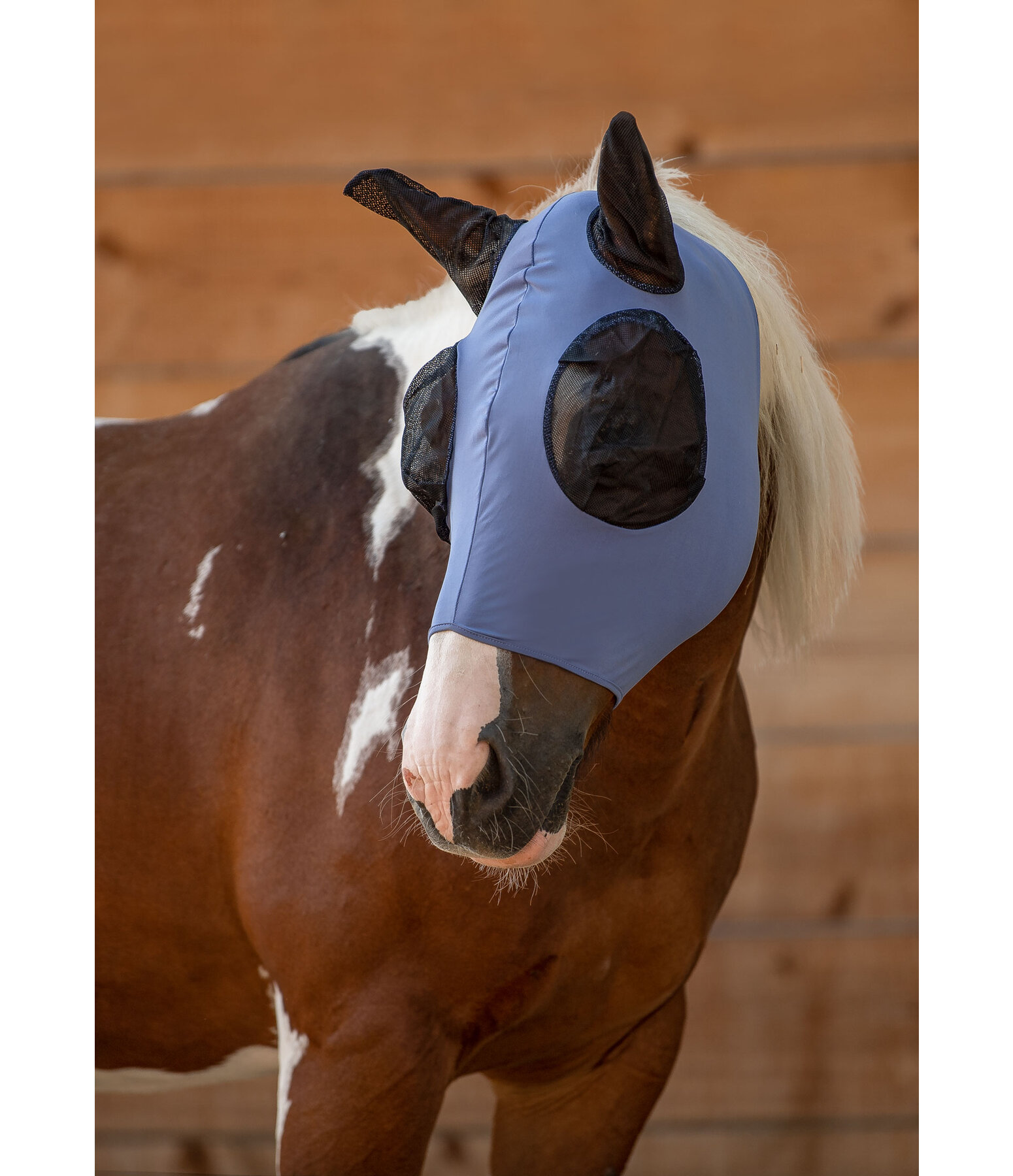 vliegenmasker Elastic