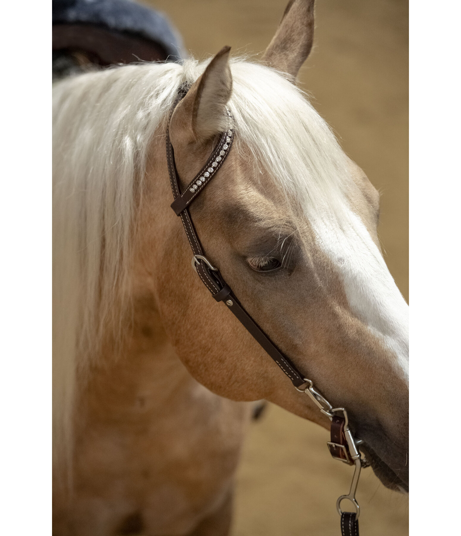 Mix & Match Futurity geknoopte frontriem Pearls