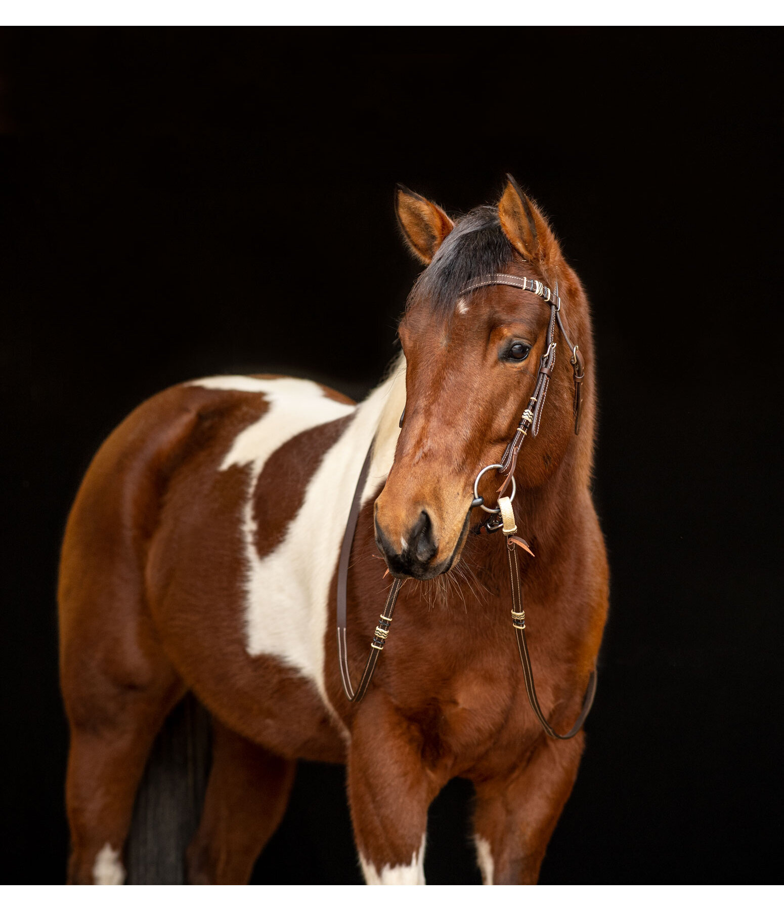 westernhoofdstel Rawhide