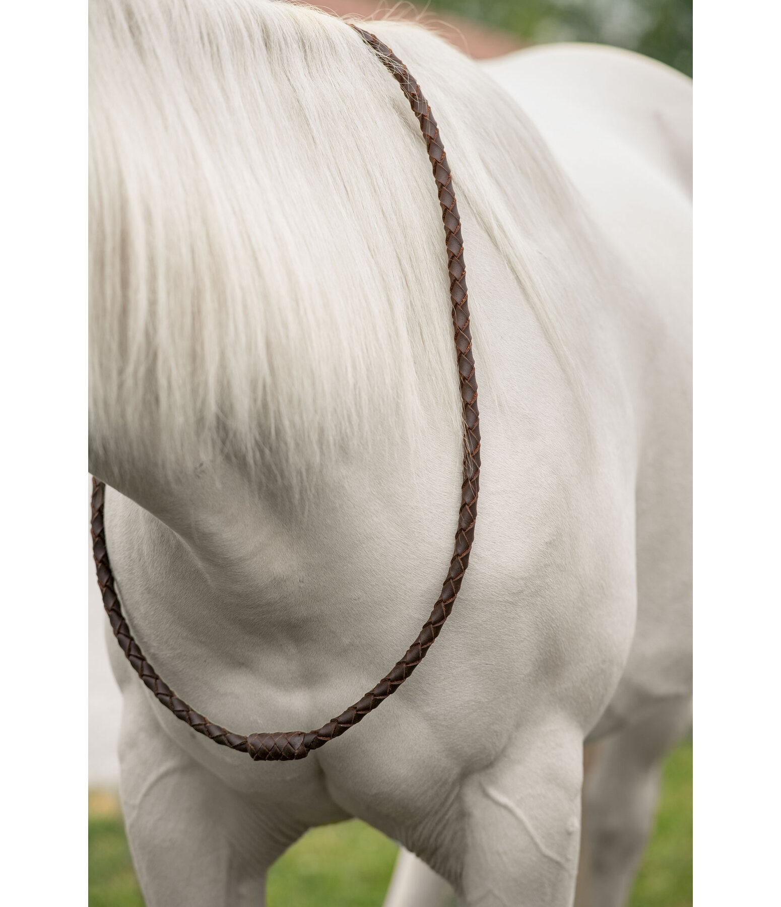 lederen halsring Premium