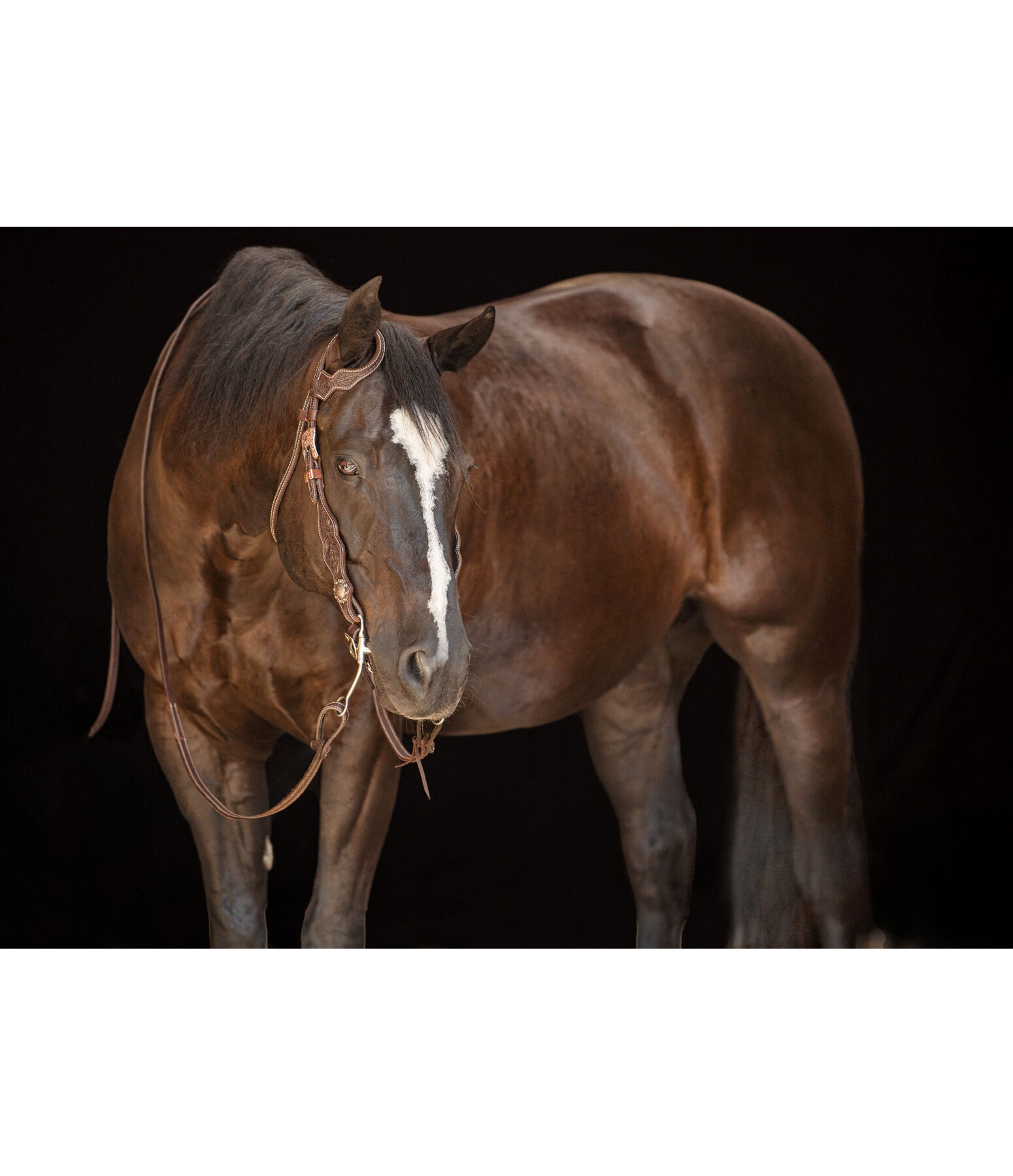 Western hoofdstel Copper