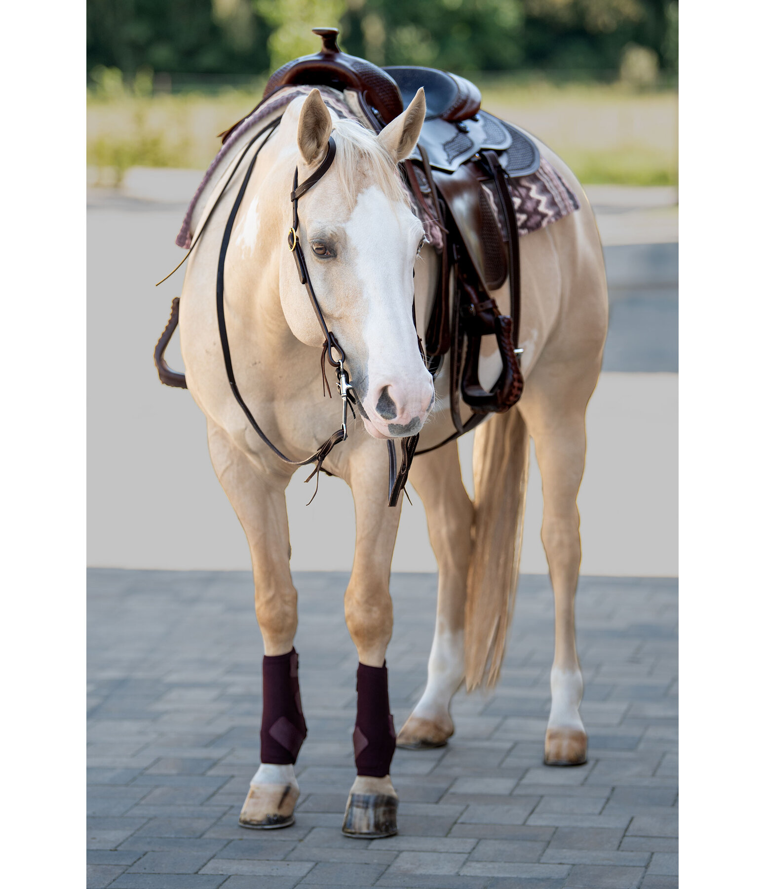 One Ear trainingshoofdstel Harness