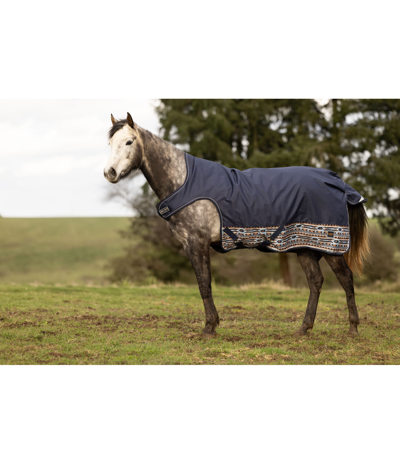 outdoor highneck Walker Remy