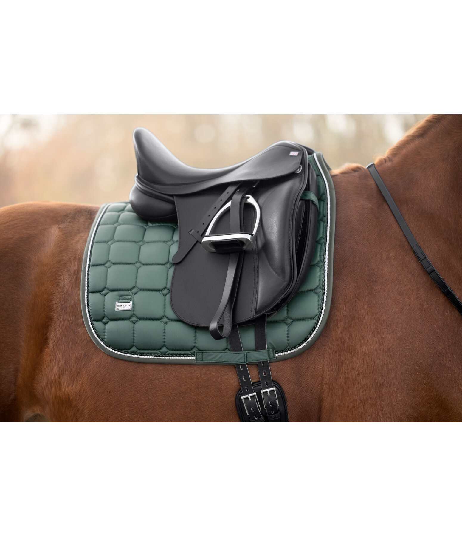 zadeldek Essential