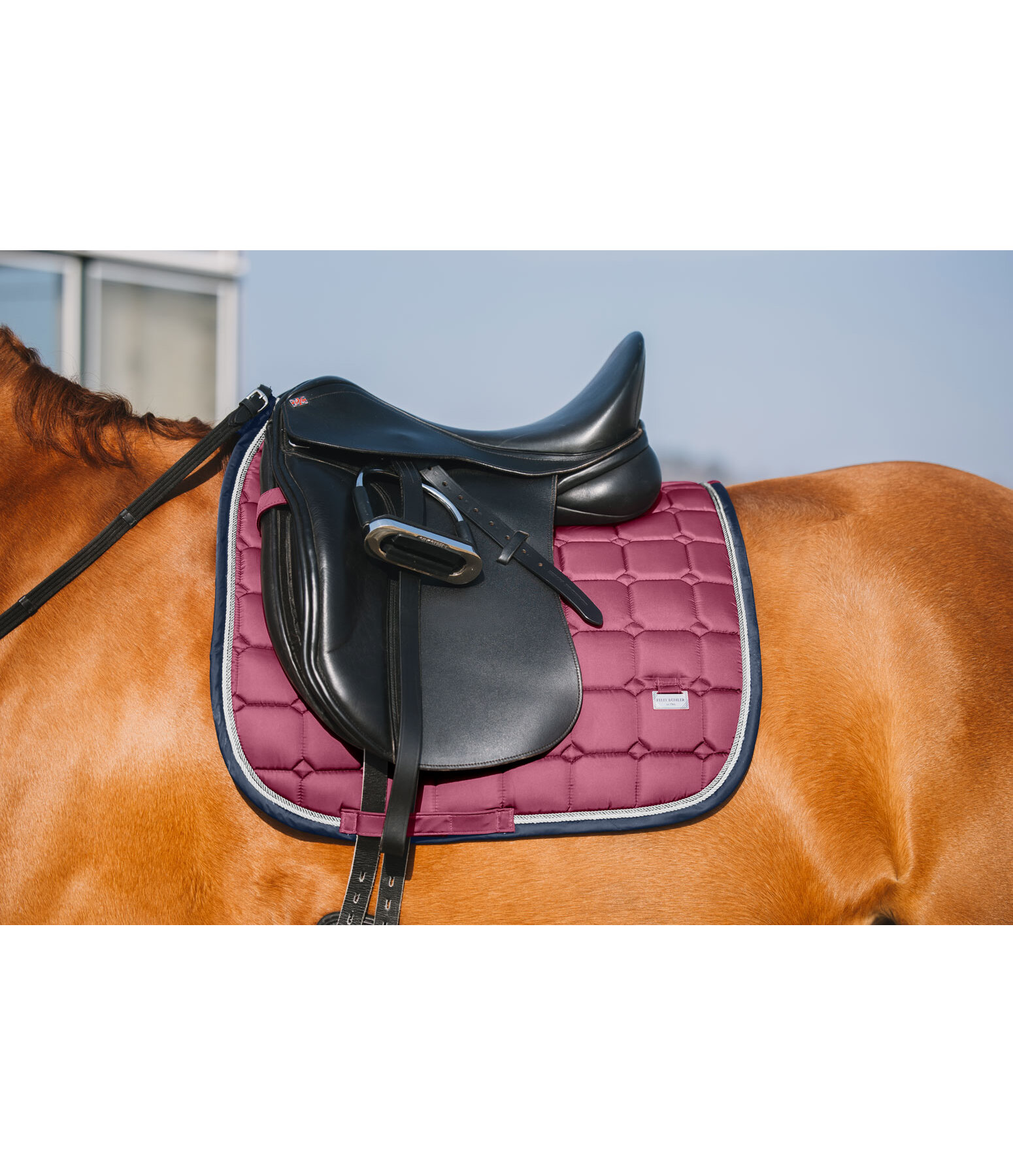 zadeldek Essential