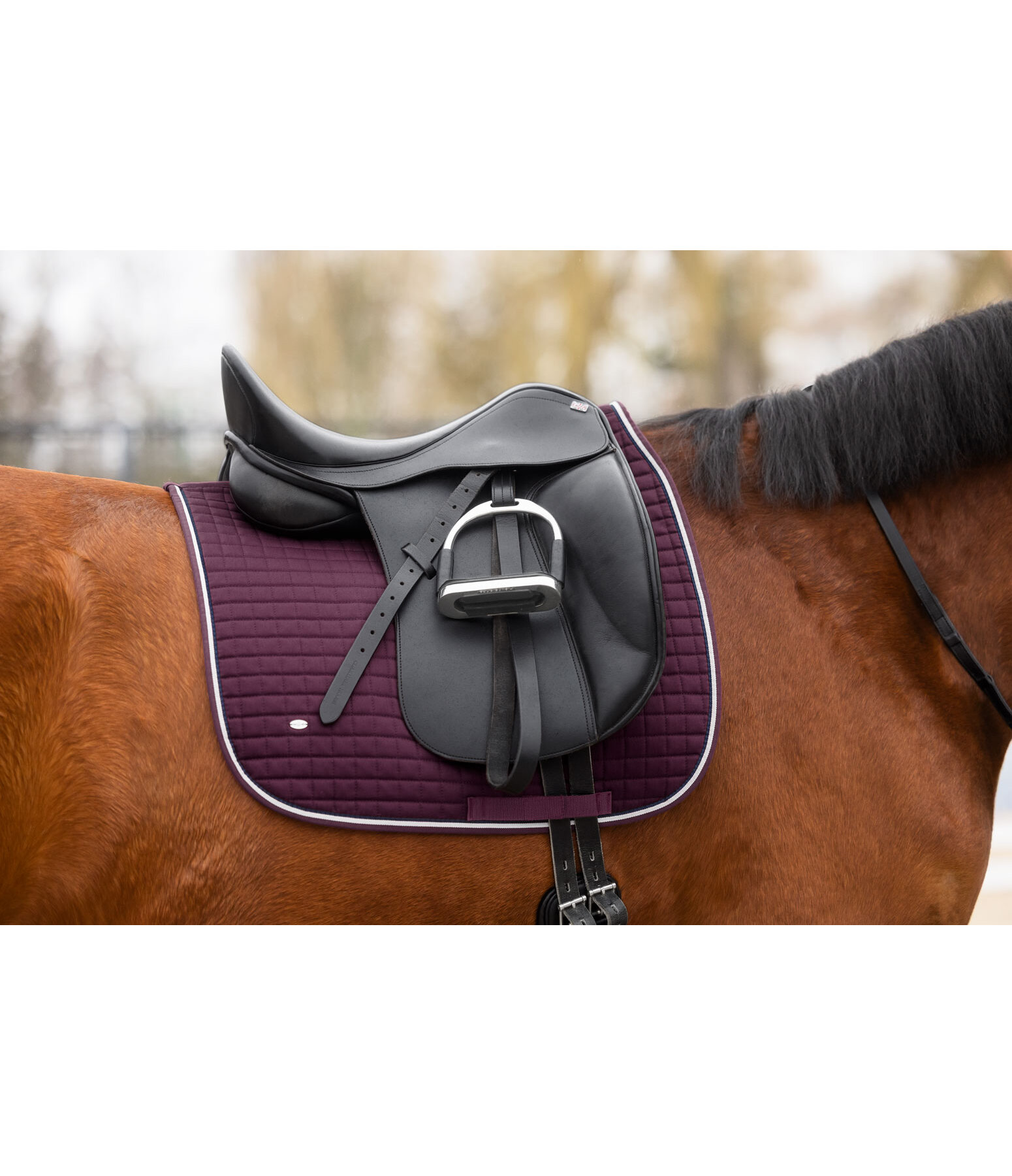 zadeldek Basic
