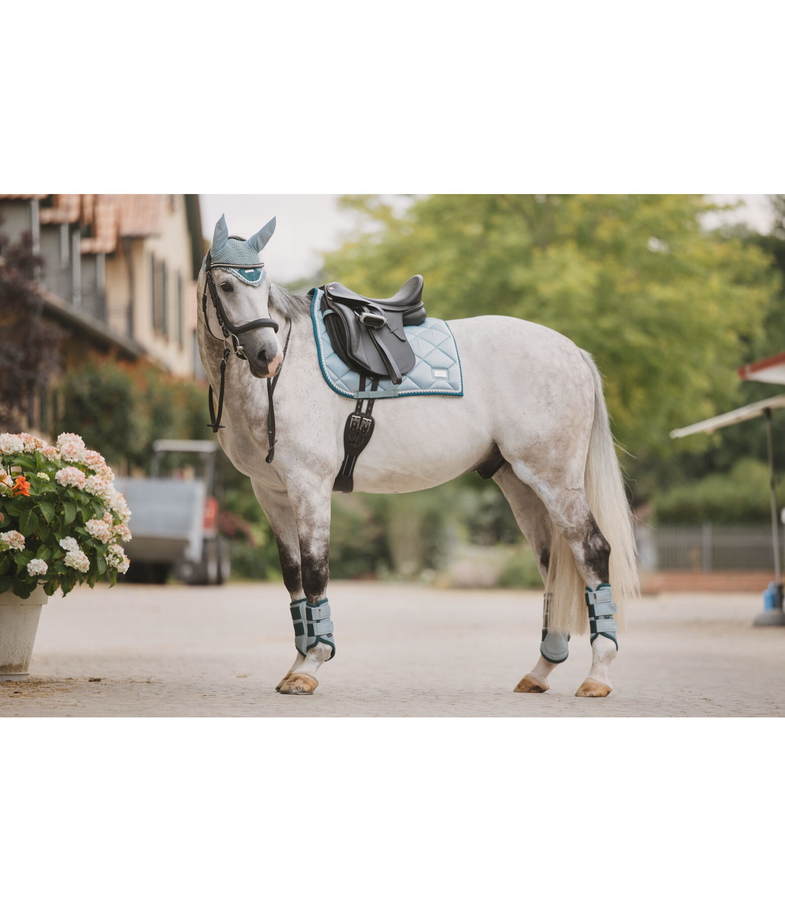 zadeldek Swiss Design