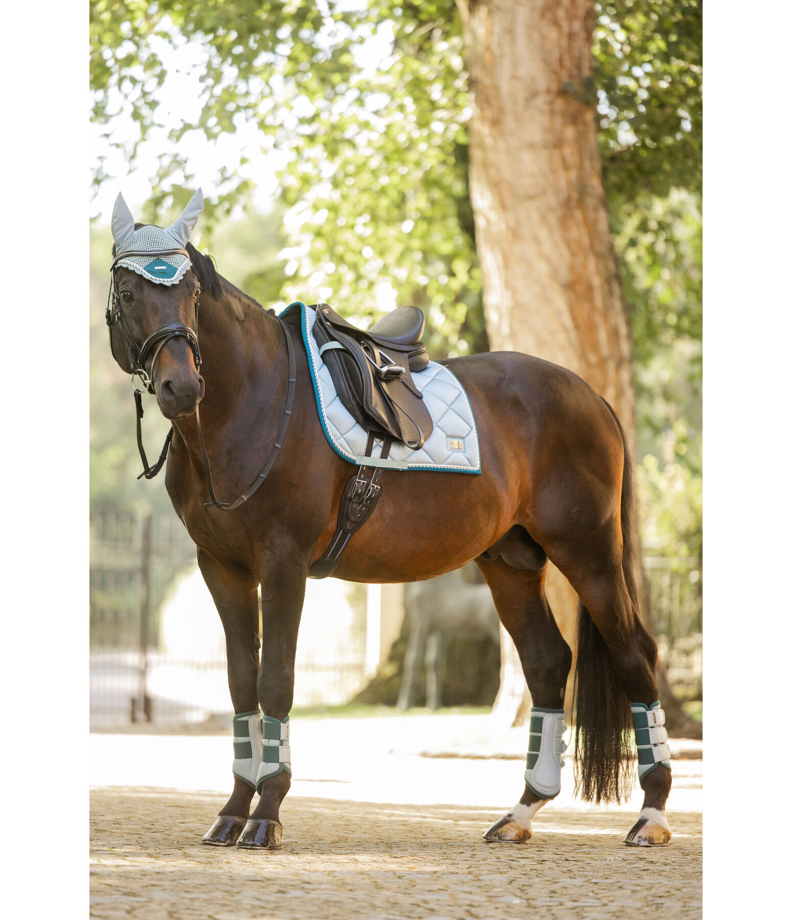 zadeldek Swiss Design