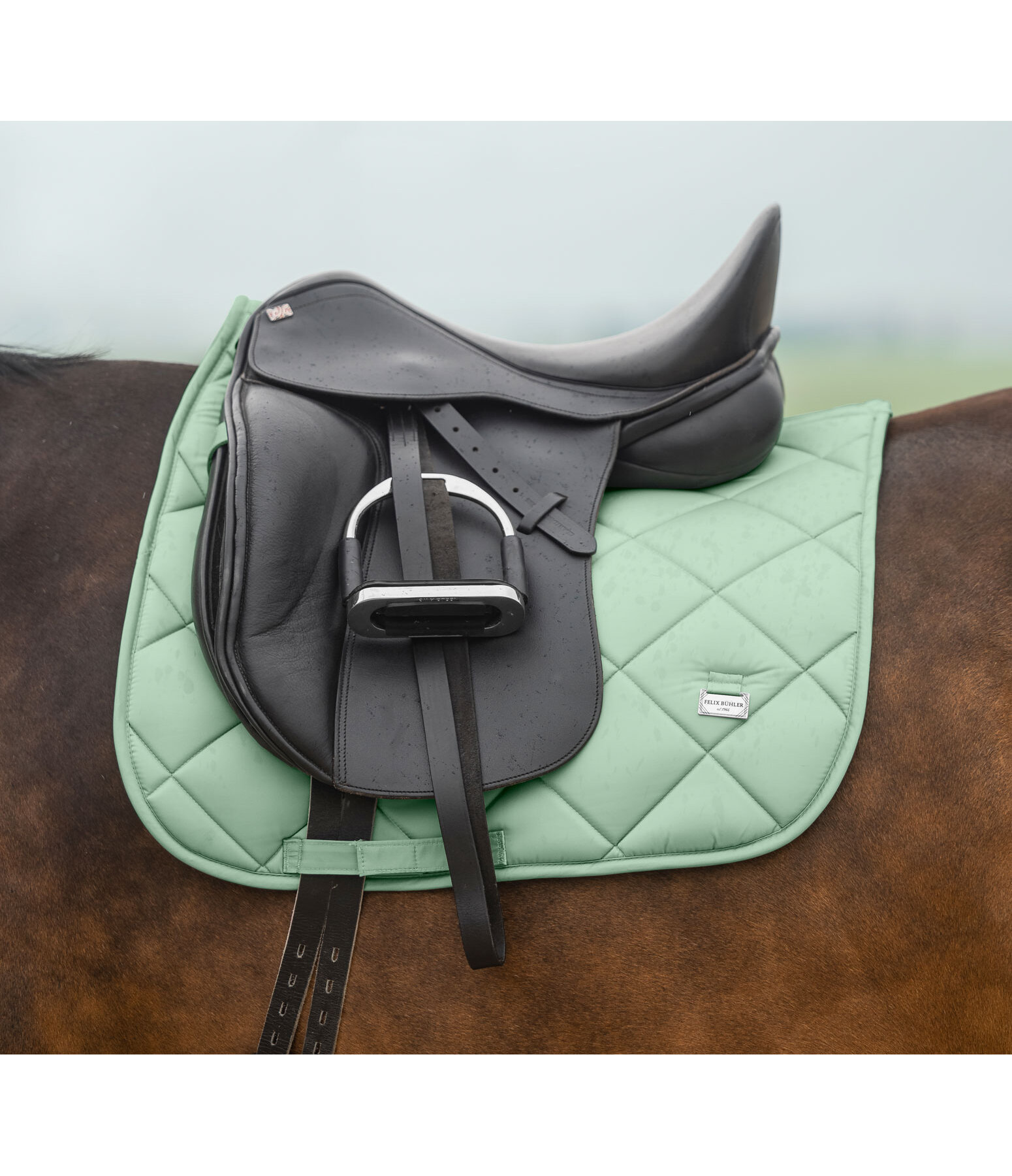 zadeldek Essential Standard