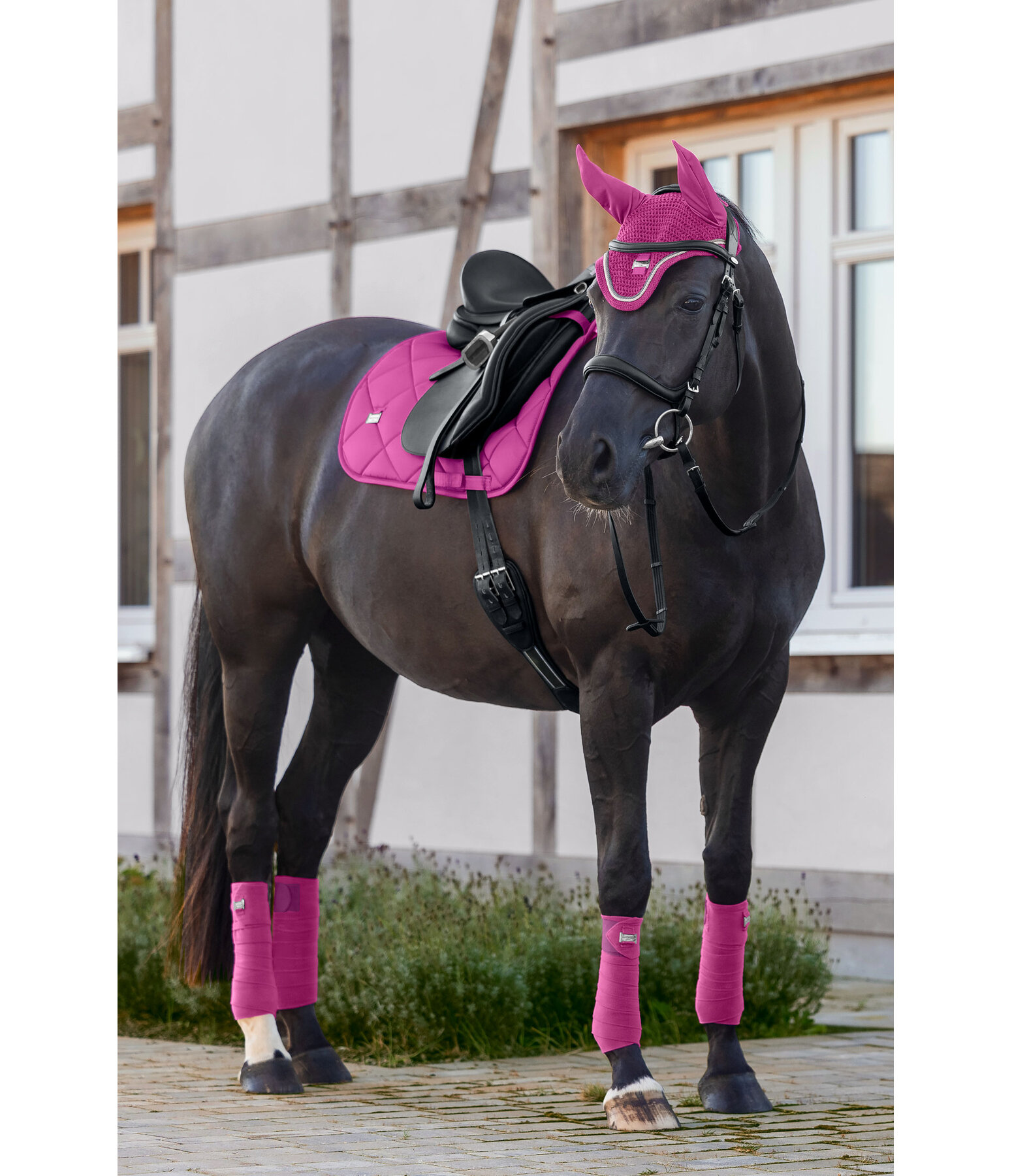 zadeldek Essential Standard