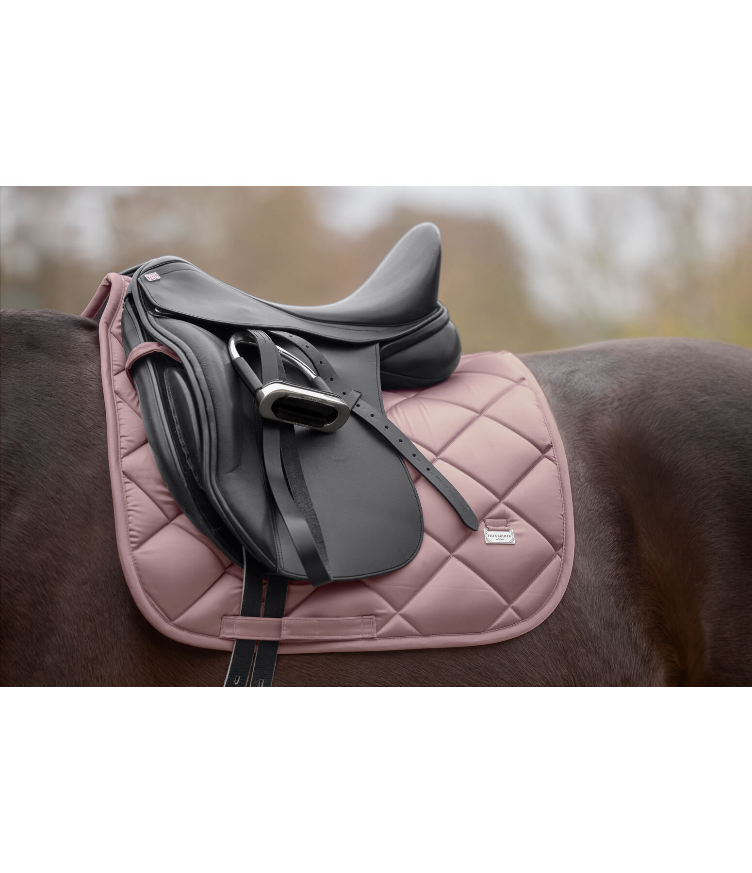 zadeldek Essential Standard