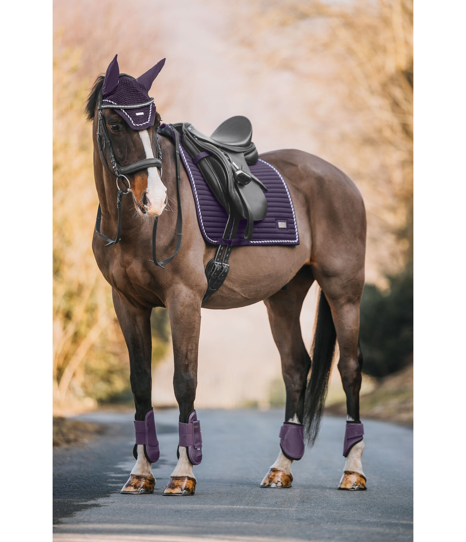 zadeldek Sophistication Regular