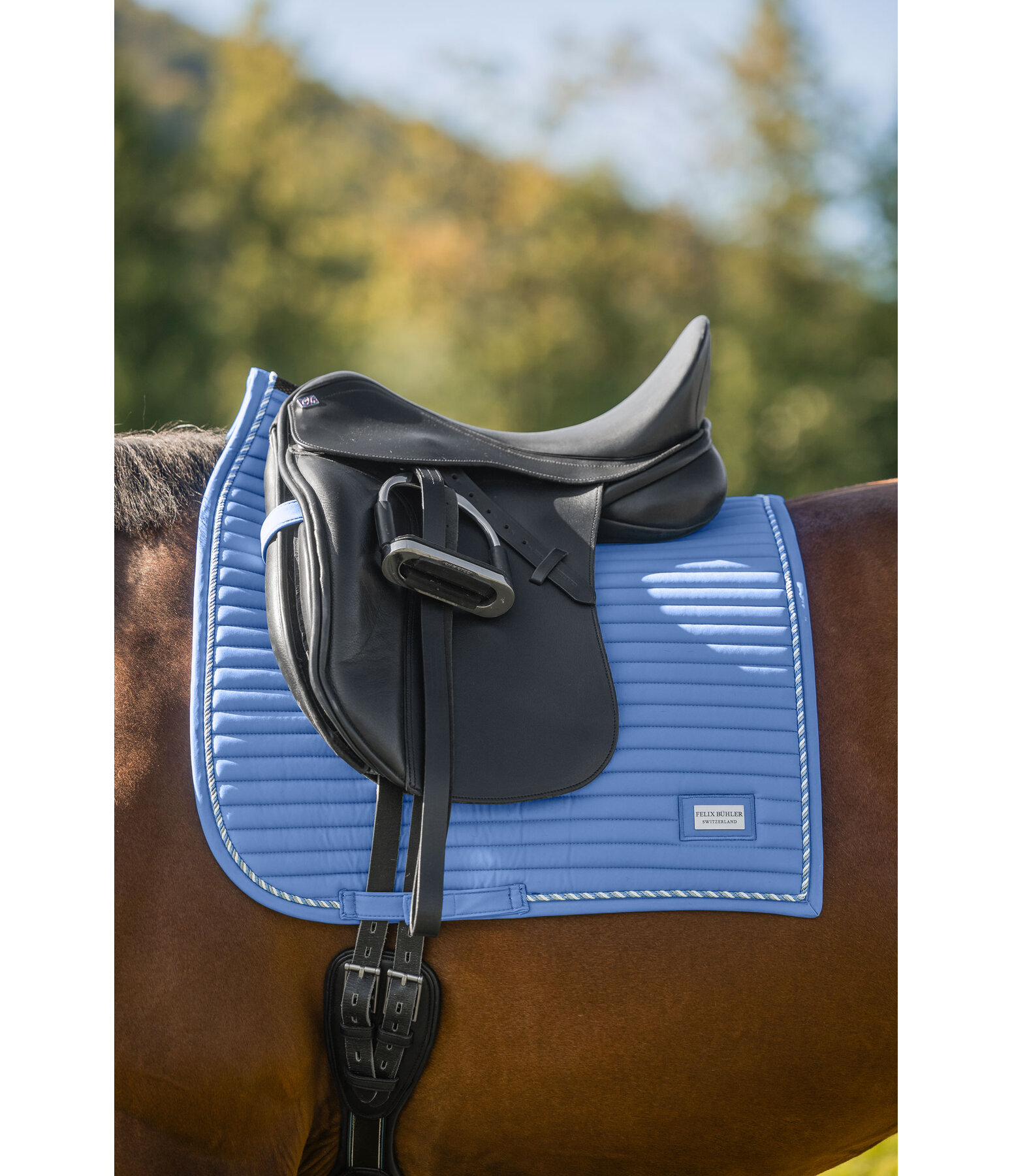 zadeldek Sophistication Regular