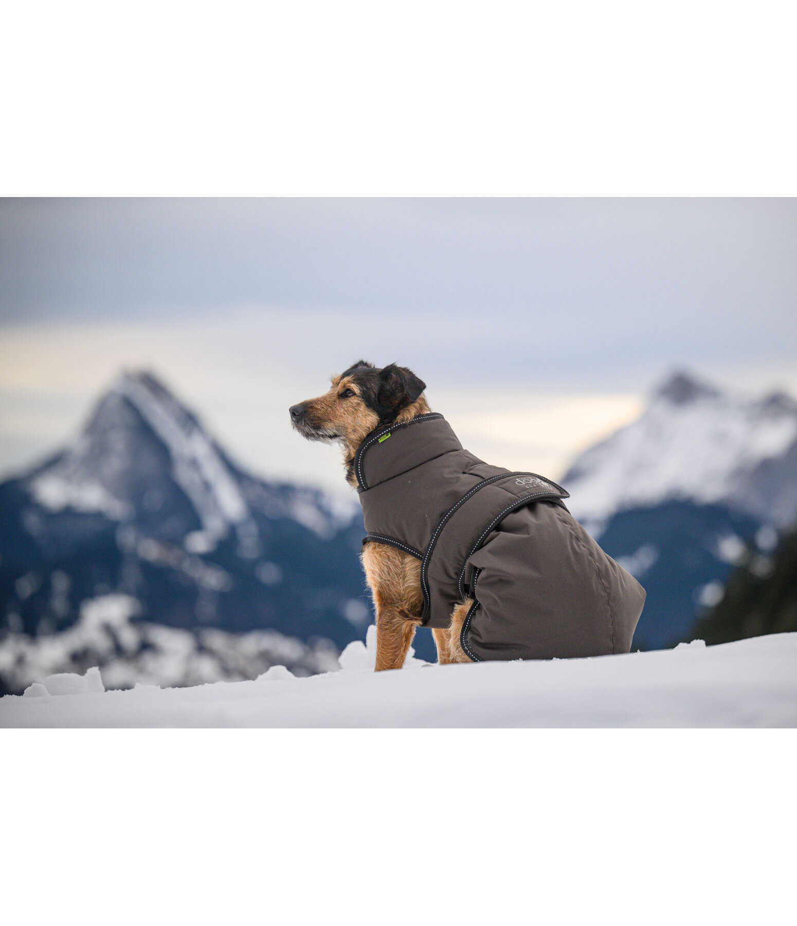 hondenjas Eddie met fleece 200 g