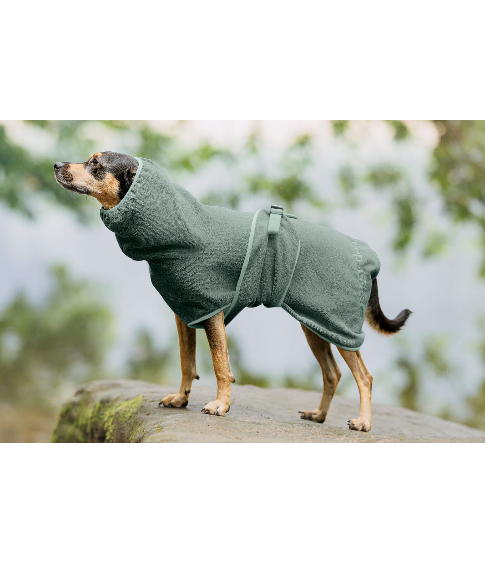 hondenbadjas Dry Dog II