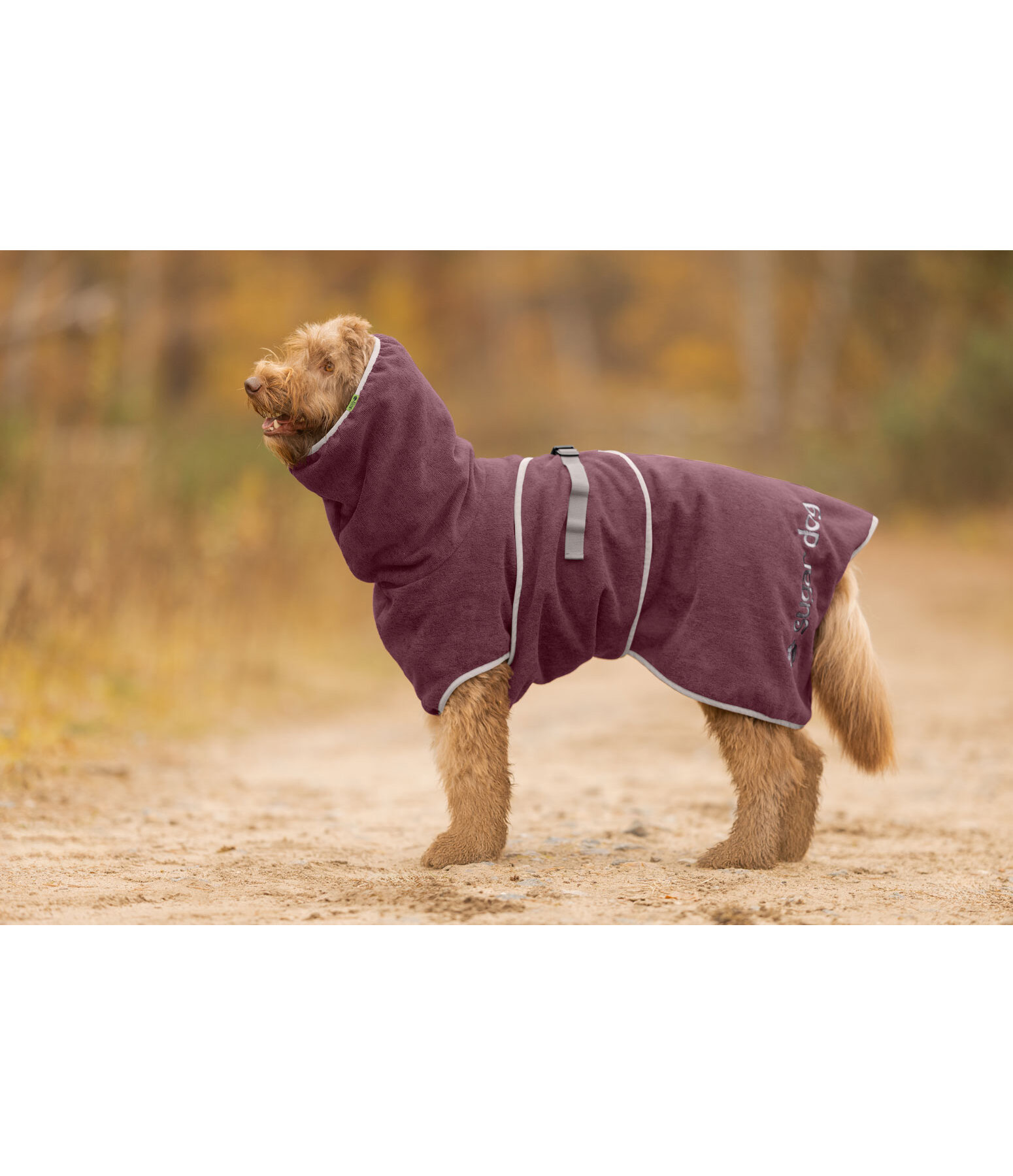 hondenbadjas Dry Dog II