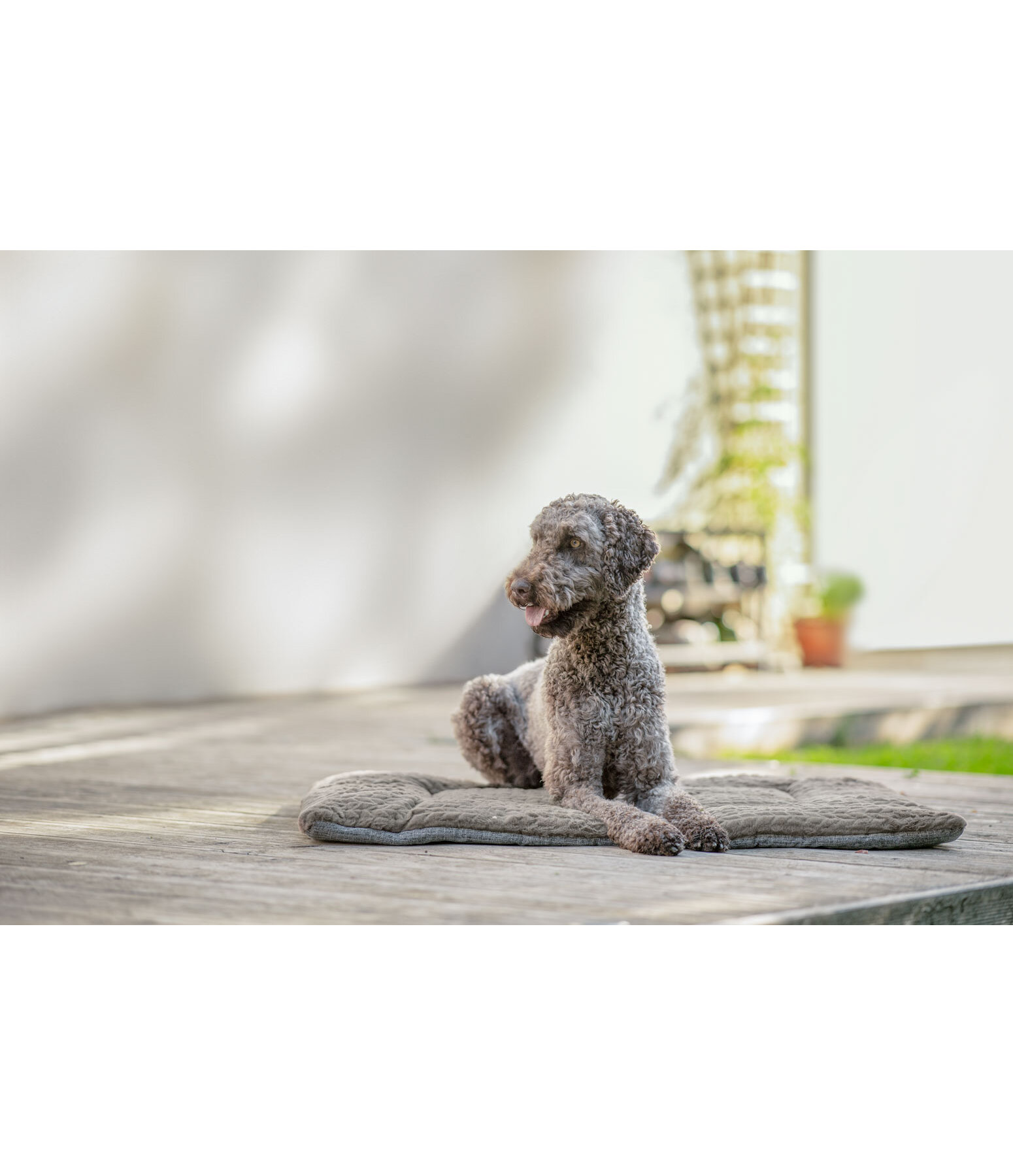 hondendeken Let Me Sleep