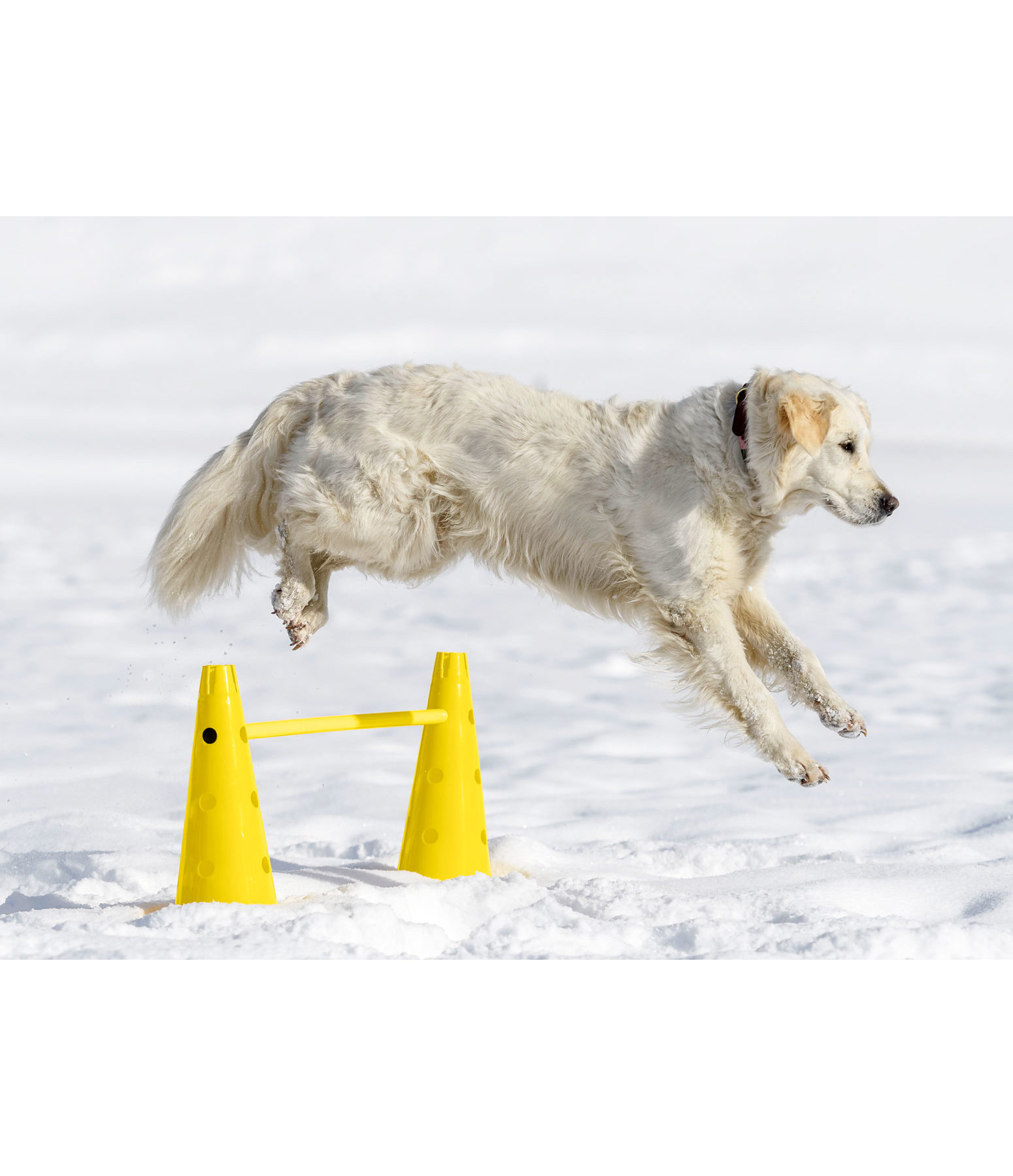 agility pylonen