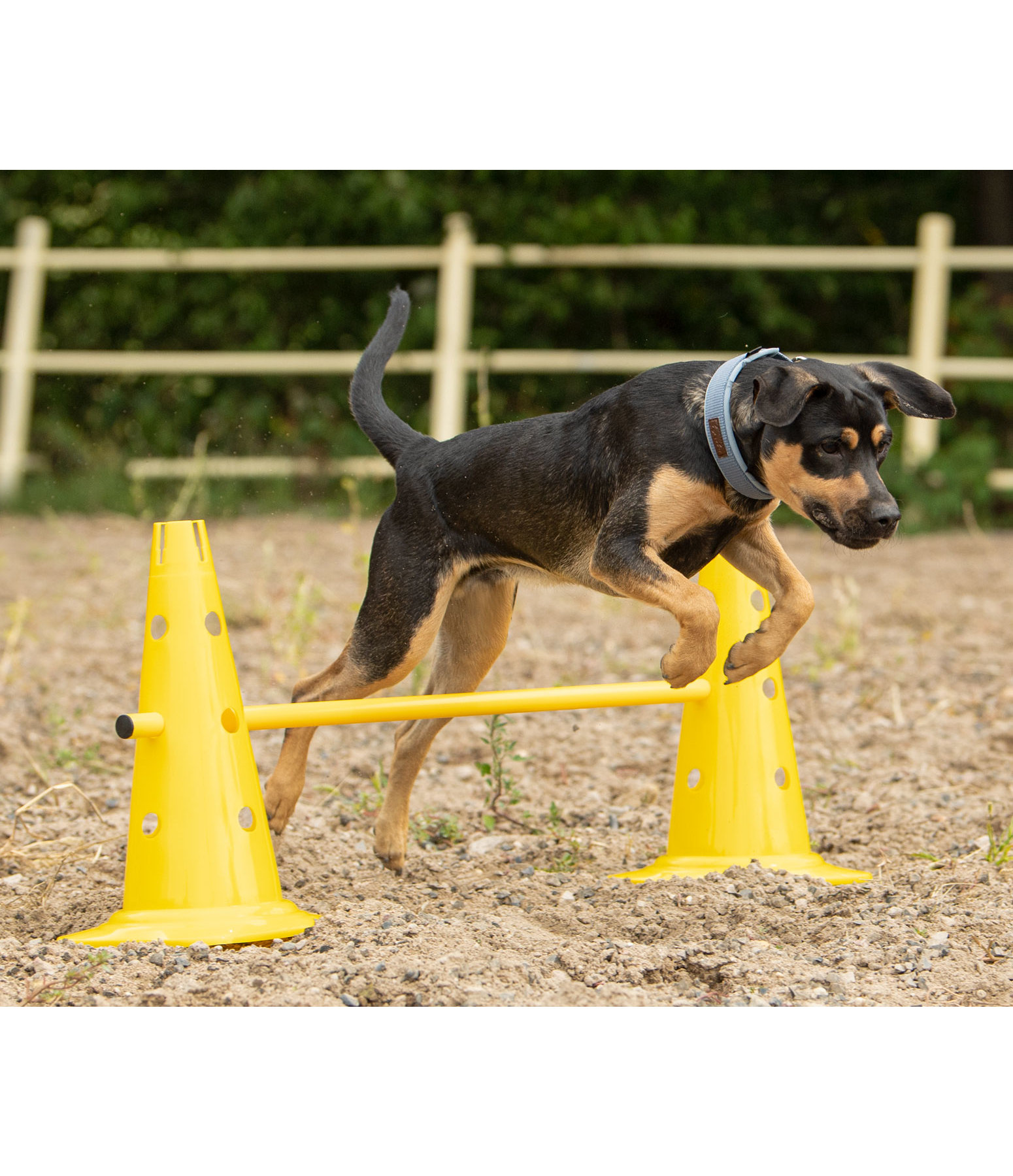 agility pylonen