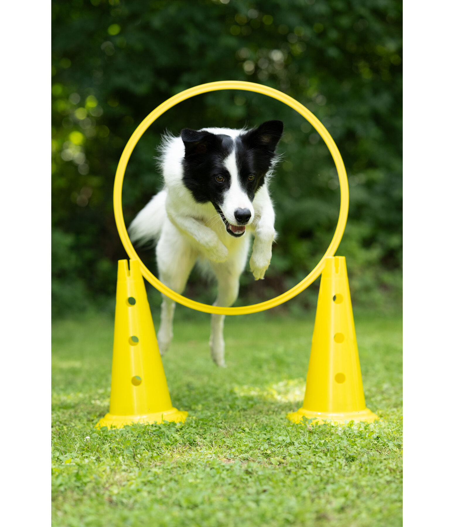 agility pylonen