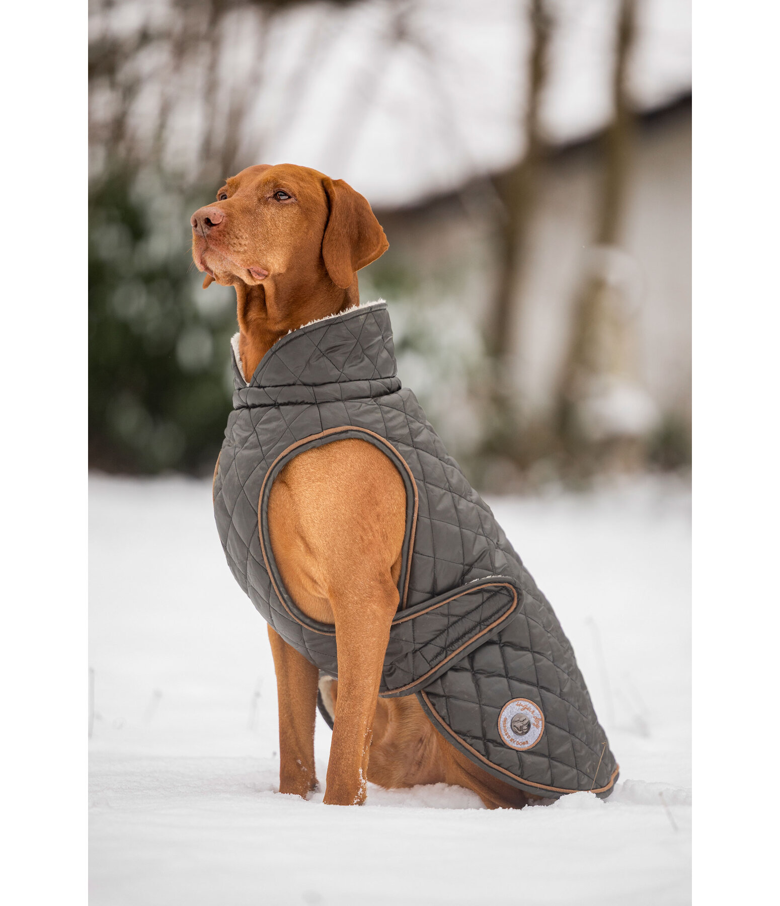 hondendeken Archie met teddyfleece voering, 160 g