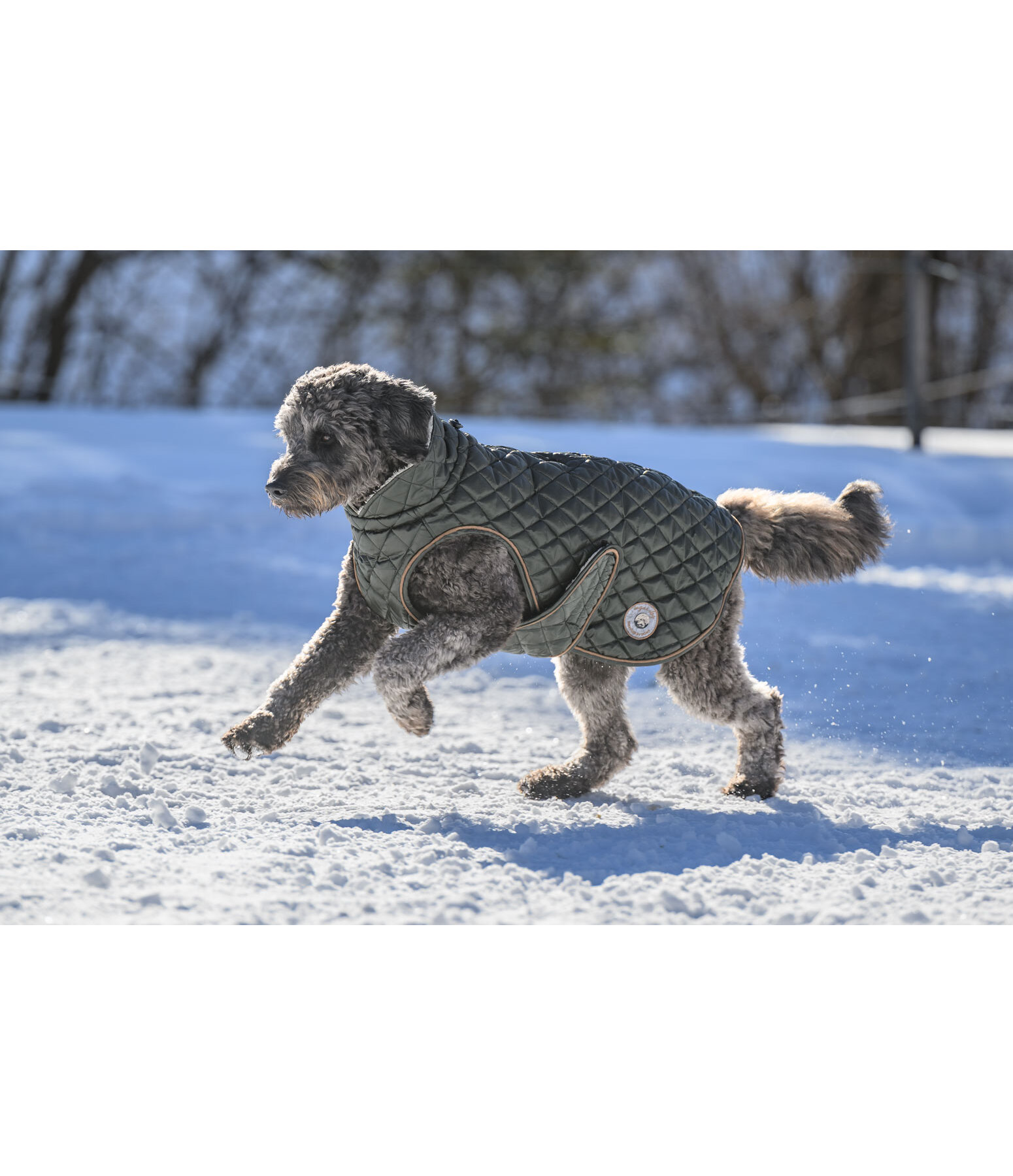 hondendeken Archie met teddyfleece voering, 160 g
