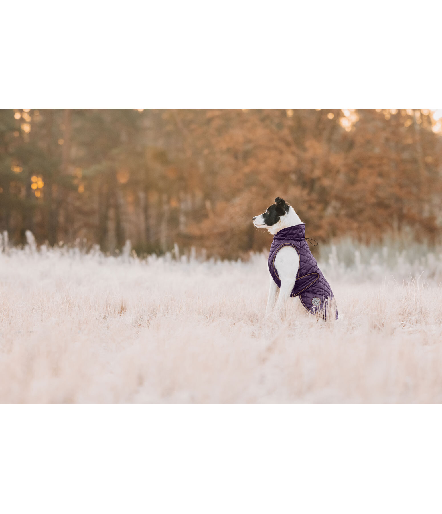 hondendeken Archie met teddyfleece voering, 160 g