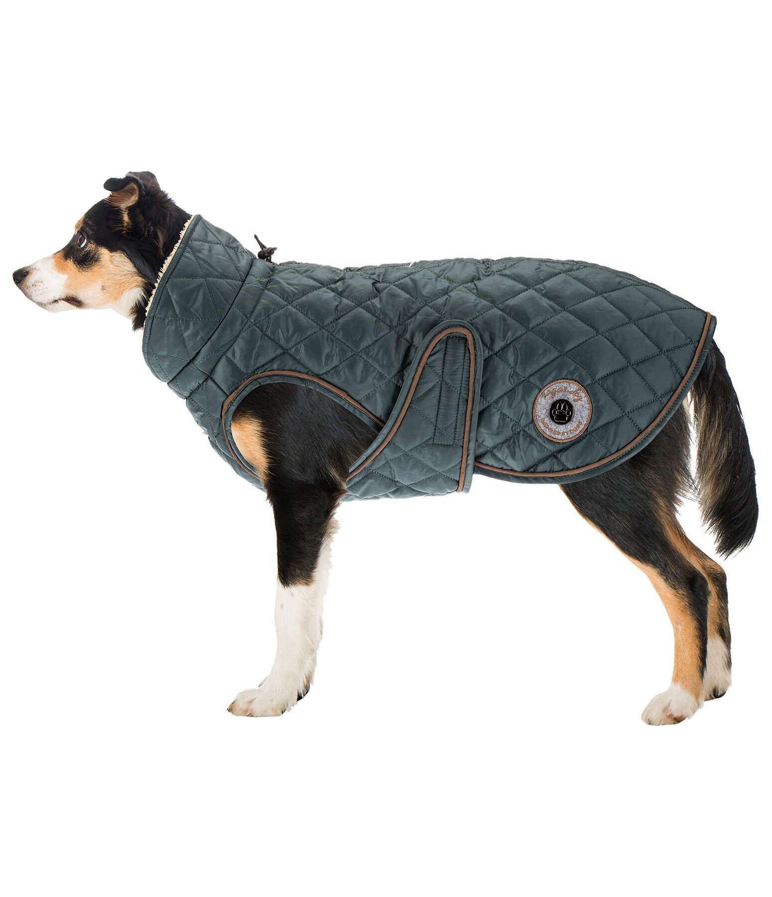 hondendeken Archie met teddyfleece voering, 160 g