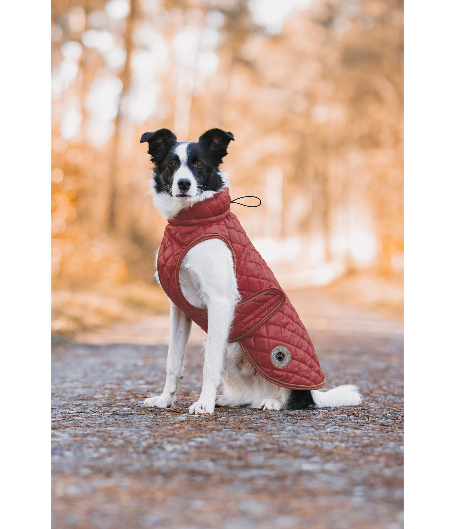 hondendeken Archie met teddyfleece voering, 160 g