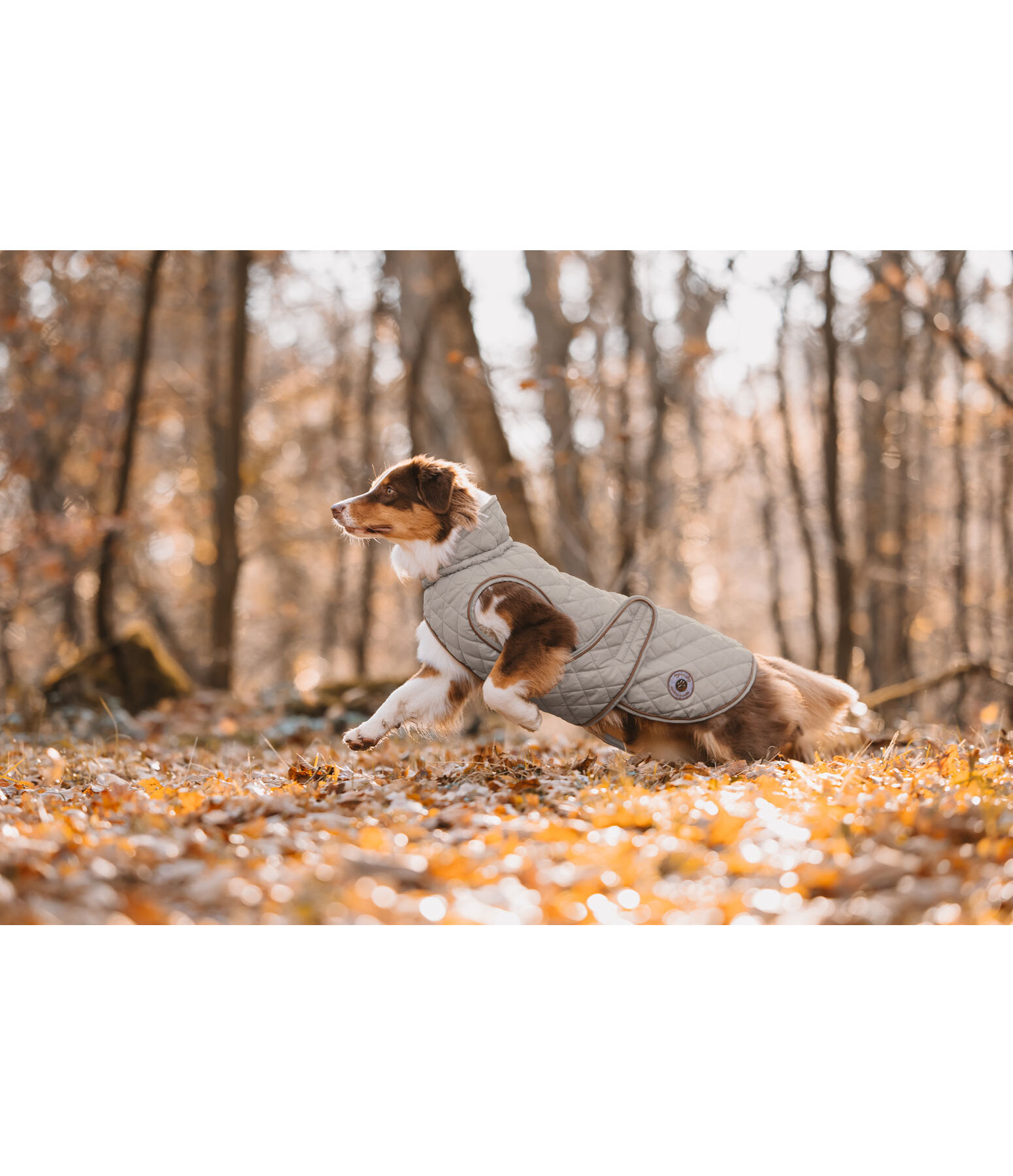 hondendeken Archie met teddyfleece voering, 160 g