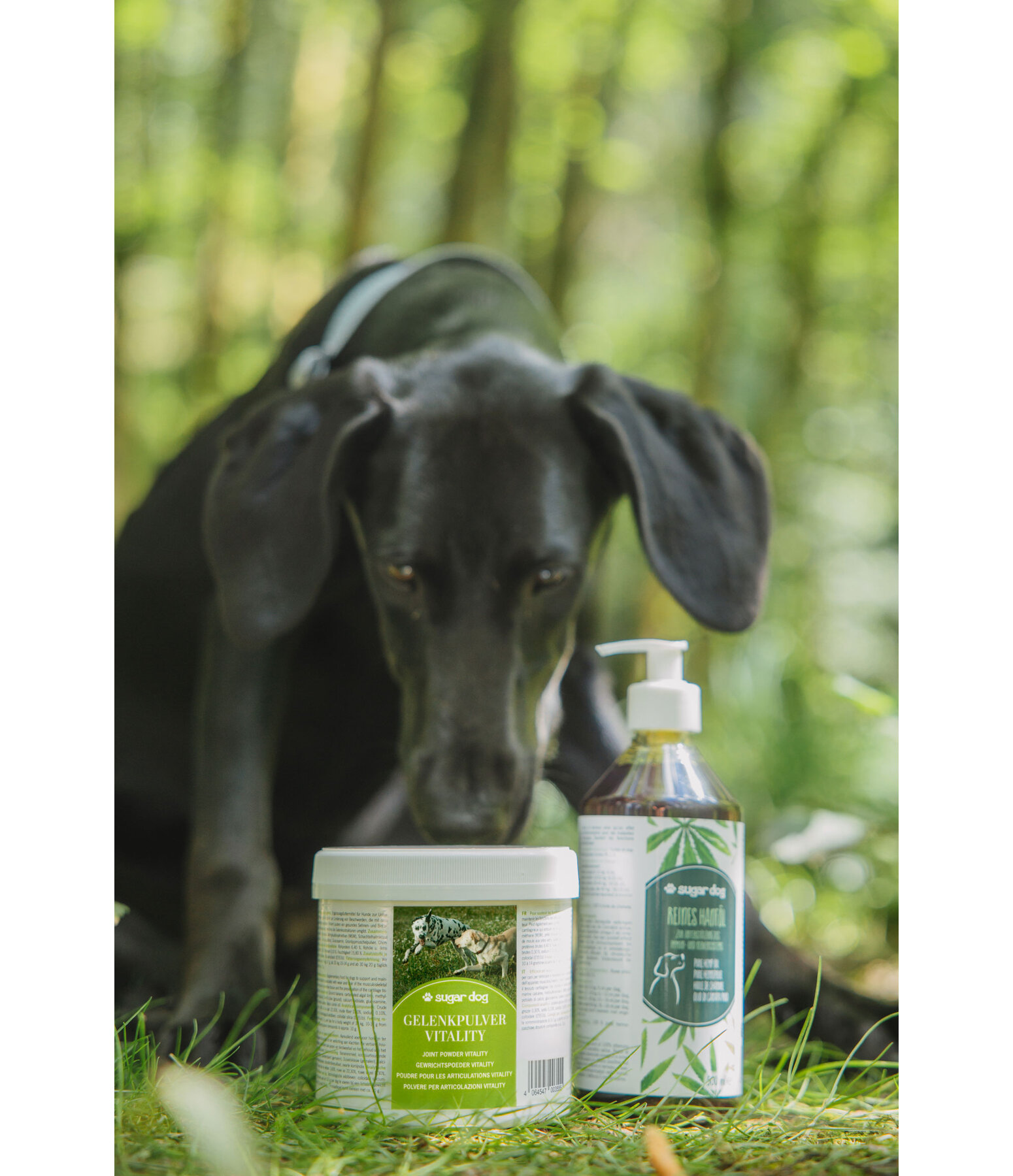 gewrichtspoeder Vitality voor honden