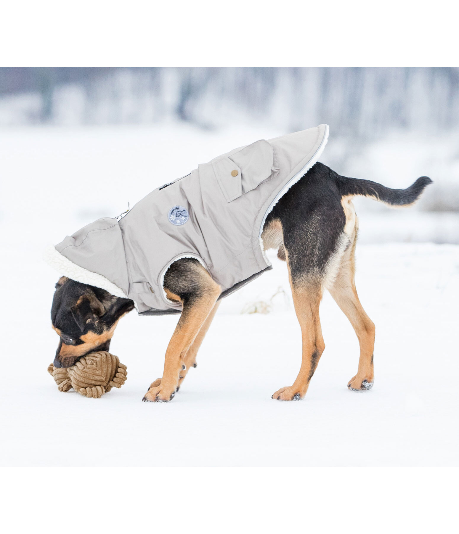 hondenspeelgoed knuffelbeer Bruno