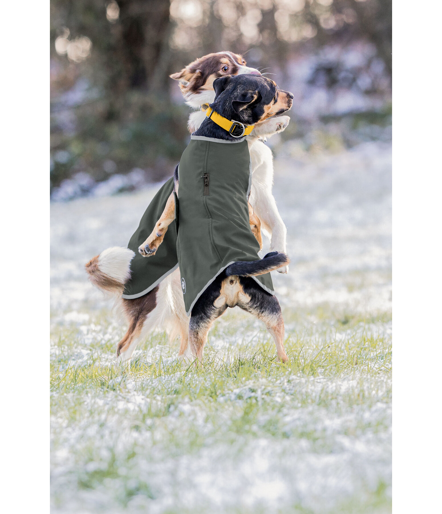 honden Softshell-Walker Athlete, 0 g