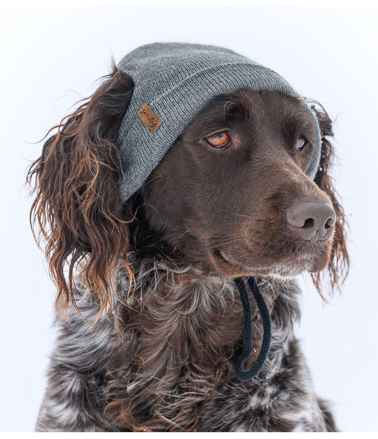 honden Beanie Evin